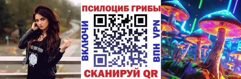 Купить где Ивангород Галлюциногенные грибы Psilocybine cubensis